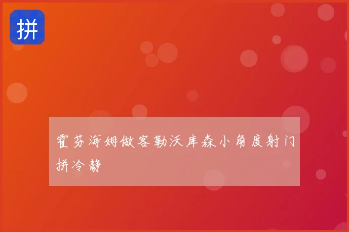 霍芬海姆做客勒沃库森小角度射门拼冷静
